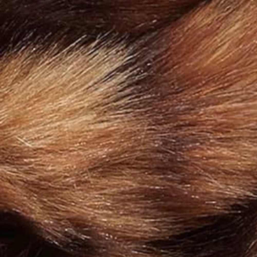 ⛔️SOLD⛔️Authentic GUCCI Leopard Faux fur turns - Picture 6 of 8